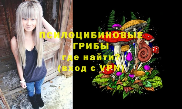 твердый Горнозаводск