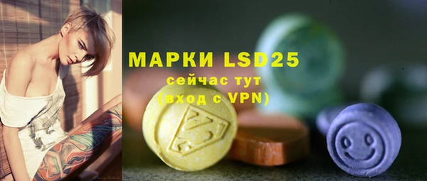 твердый Горнозаводск