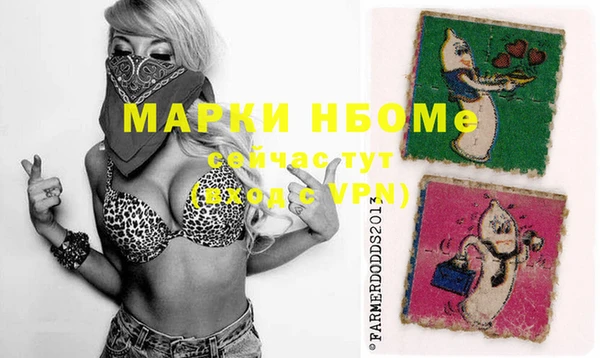 твердый Горнозаводск