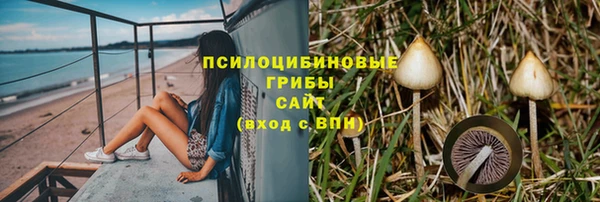 твердый Горнозаводск