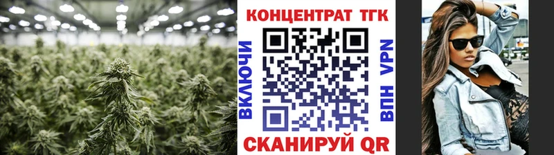 Купить  Алзамай  ТГК THC oil 
